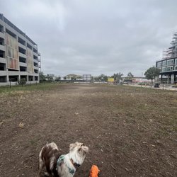 North City Dog Park - Dog "park"