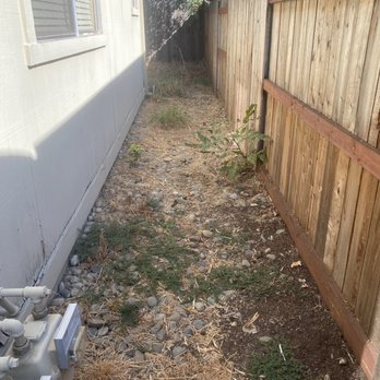 ZR Pro Landscaping - BEFORE - 5 months of neglect - Lawn Services Near Me ZR Pro Landscaping - BEFORE - 5 months of neglect - Lawn Services Near Me