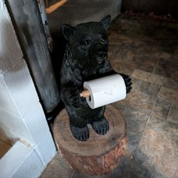 Hominy Ridge Cabins & Gift Shop - Little scary when doing the business, lol.