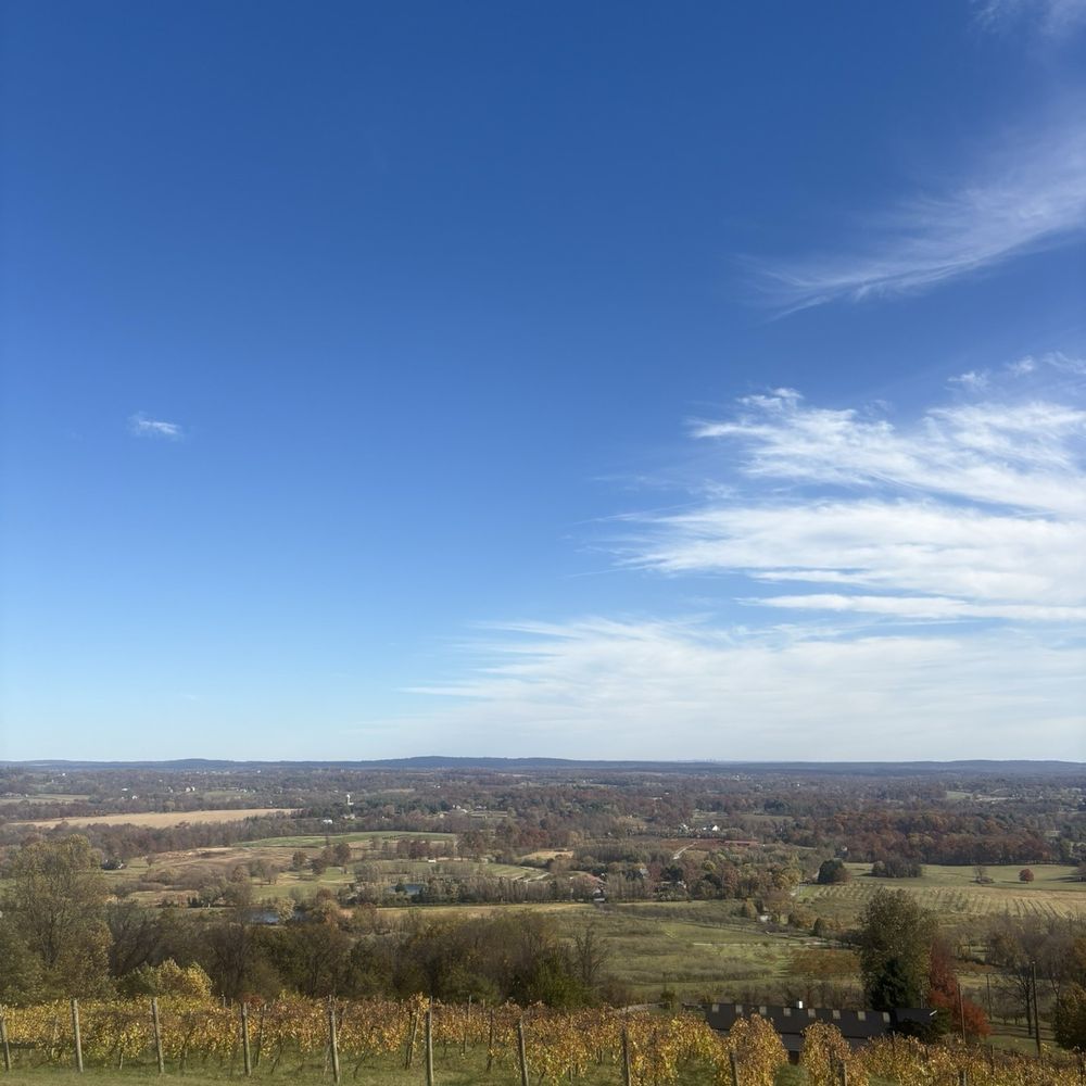 The view The view