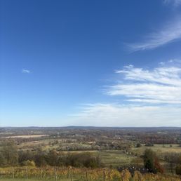 The view