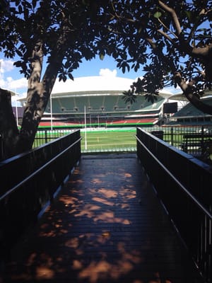 RoofClimb Adelaide Oval by null