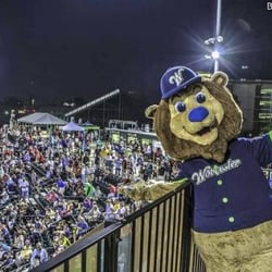 Worcester Bravehearts