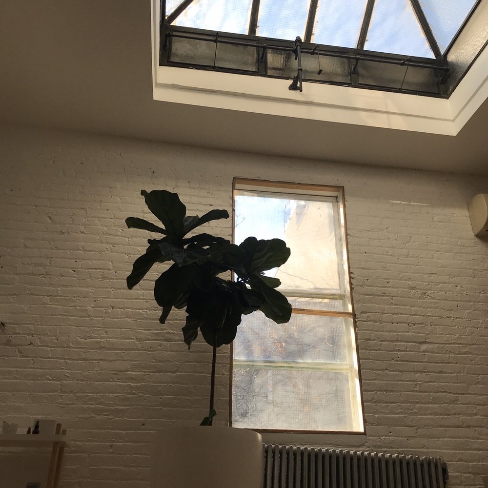 The Floor - Pilates Near Me - Brooklyn, New York The Floor - Pilates Near Me - Brooklyn, New York