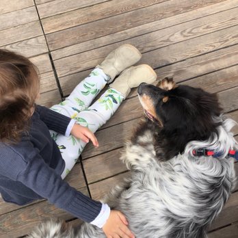 Wuufbox - Pet Stores Near Me - Istanbul, 34 Wuufbox - Pet Stores Near Me - Istanbul, 34