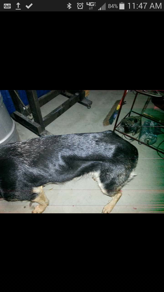 PERRIS POLICE DEPARTMENT Updated September 2024 137 N Perris Blvd