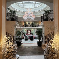 La Bauhinia