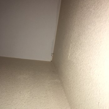 Austin's Maid Service - Hard to see, but just cobwebs on the walls and ceilings. - Home Cleaning Near Me - Austin, Texas