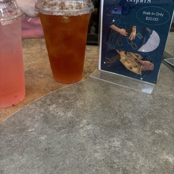 Bajah's Cat Cafe - Cafes Near Me - Tiverton, Rhode Island