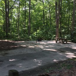Twin Knobs Campground - The sites are messy when it rains - Campgrounds Near Me - Clearfield, Kentucky