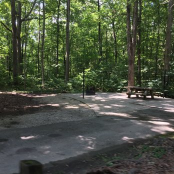 Twin Knobs Campground - The sites are messy when it rains - Campgrounds Near Me - Clearfield, Kentucky