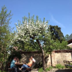 Christel's Pension und Cafe - Garten