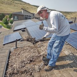 Raven Solar Services - Note: not all solar needs protected! Worst bird cleaning ever!