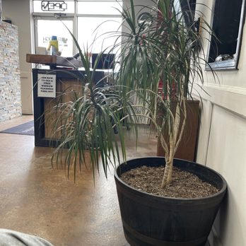 Raleigh Window Tinting - Car Window Tinting Near Me - Raleigh, North Carolina Raleigh Window Tinting - Car Window Tinting Near Me - Raleigh, North Carolina
