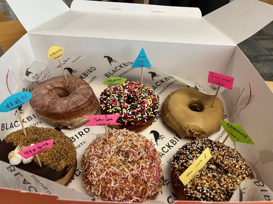 Blackbird Doughnuts Beacon Hill by null