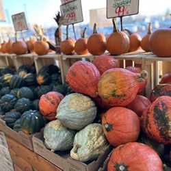 Vince & Joe's Gourmet Market - So pretty