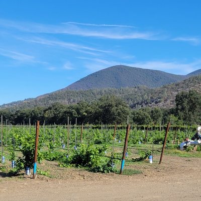 Peace and Plenty Farm by null