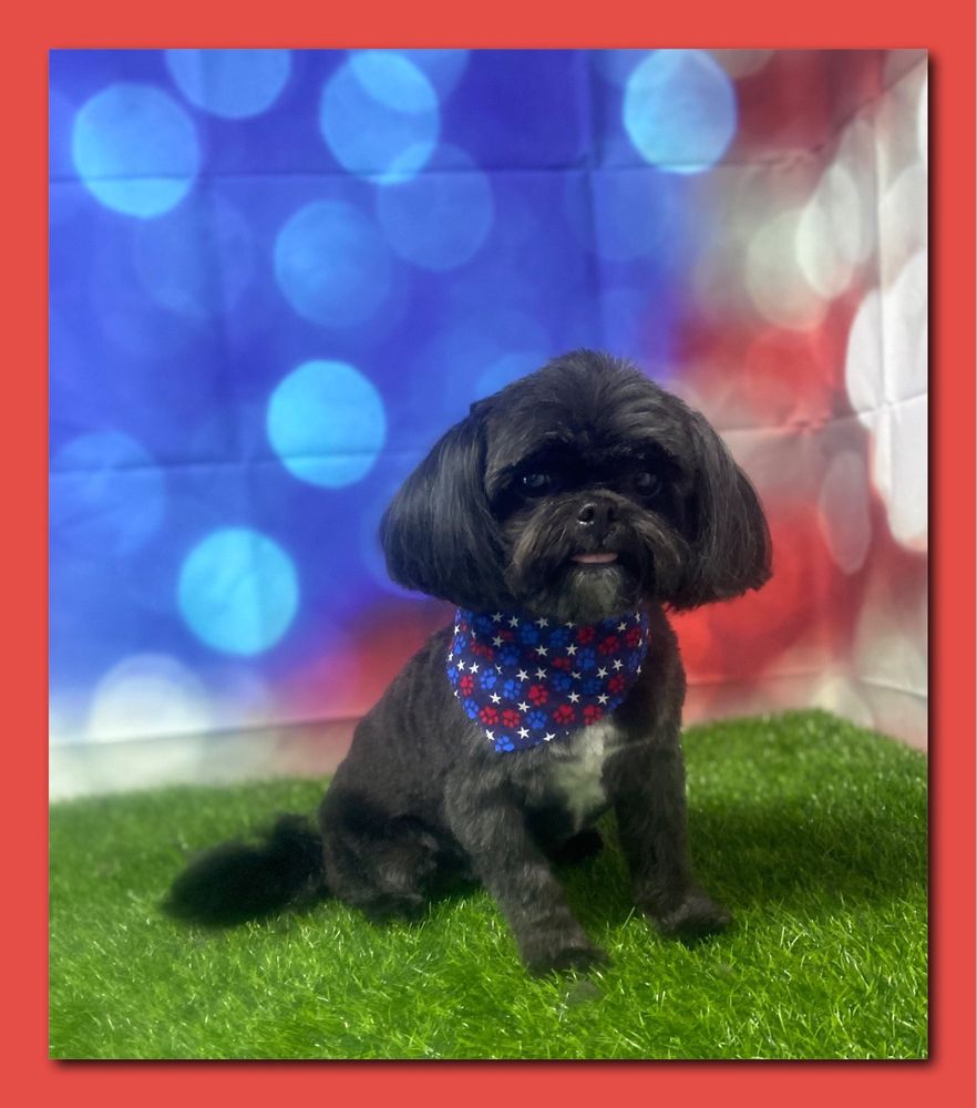 PAW SPA Updated September 2024 44 Photos & 20 Reviews 1608 N