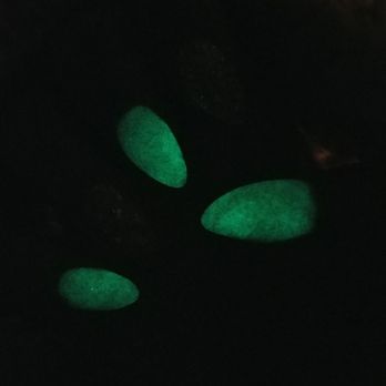 Ivy Nails - 6 days later n found out my nails glows in the dark! Nice! - Nail Salons Near Me - Redlands, California Ivy Nails - 6 days later n found out my nails glows in the dark! Nice! - Nail Salons Near Me - Redlands, California