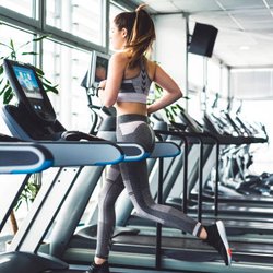 Gym Equipment Services - Gymequipmentservices