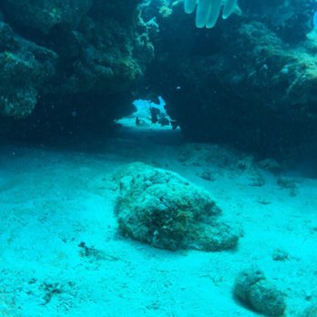 Capt. Hook's Dive Key West - Scuba Diving Near Me - Key West, Florida Capt. Hook's Dive Key West - Scuba Diving Near Me - Key West, Florida