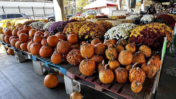 Nashville Farmers' Market by null