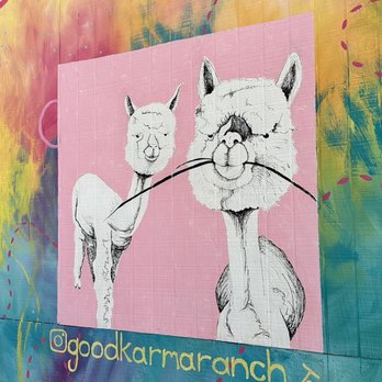 Good Karma Ranch Alpacas - Selfie zone...if you're so inclined - Attraction Farms Near Me - Iron Station, North Carolina