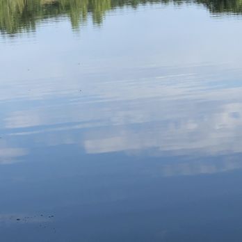 Nara Park - Water reflection - Parks Near Me - Acton, Massachusetts