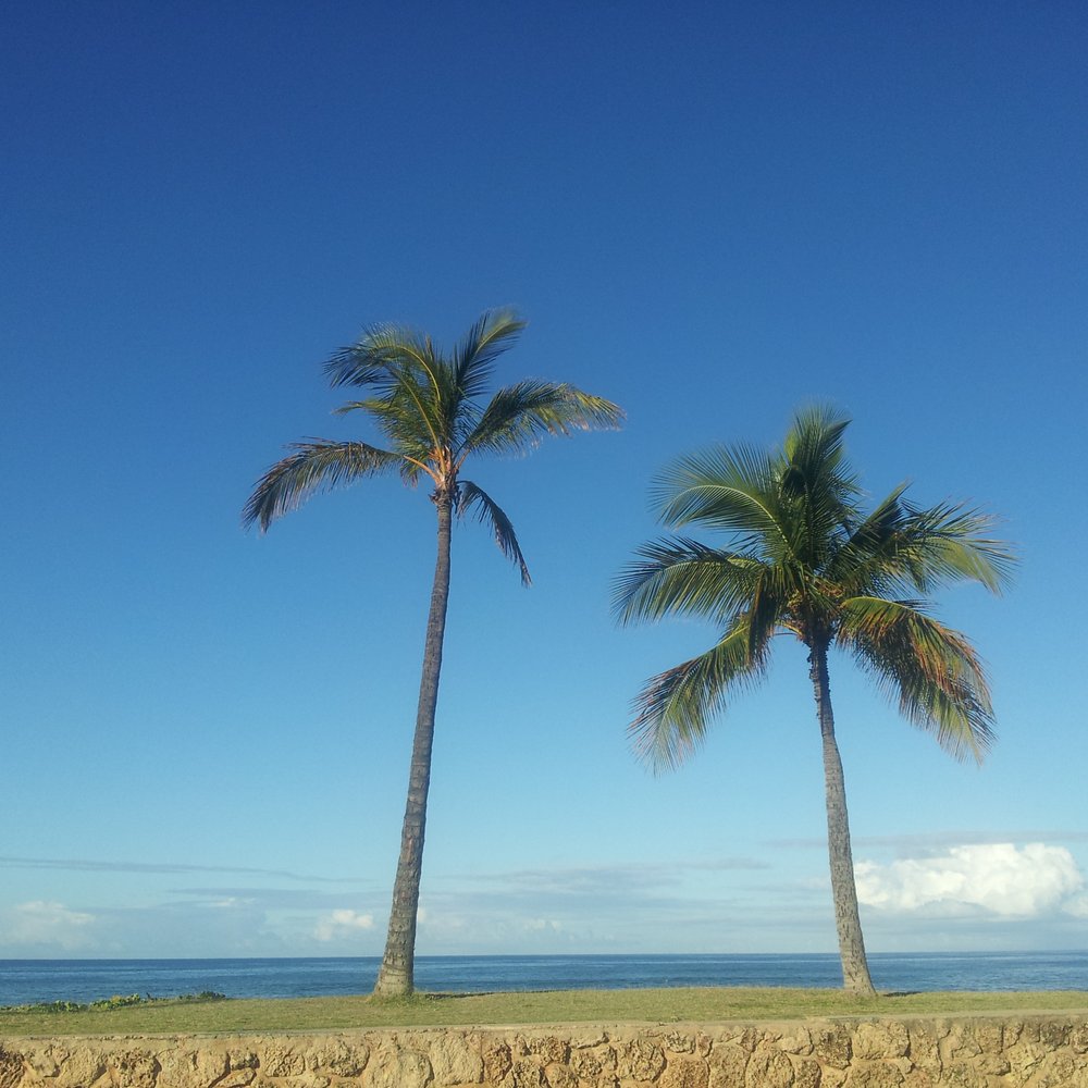 Depots Beach - Beautiful morning! - Beaches Near Me Depots Beach - Beautiful morning! - Beaches Near Me