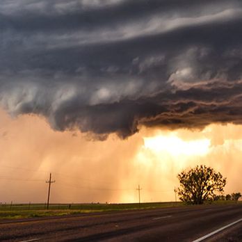 Doug Hailey - State Farm Insurance Agent - Home & Rental Insurance Near Me - Papillion, Nebraska Doug Hailey - State Farm Insurance Agent - Home & Rental Insurance Near Me - Papillion, Nebraska