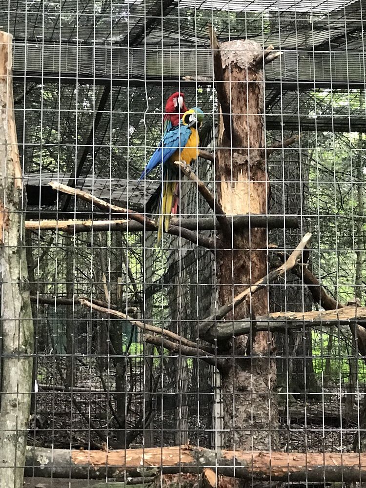 CLAWS ‘N’ PAWS ANIMAL PARK 185 Photos & 92 Reviews Zoos 1475