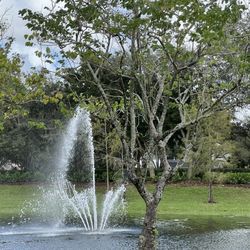 Terramar Park