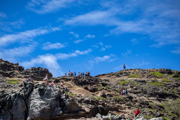 Nakalele Blowhole by null