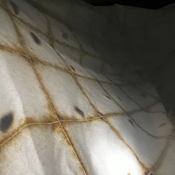 The Dextro - BED SHEETS, BEWARE. They say it's burnt from the dryer but it had green and black crap on it. - Hotels Near Me - San Diego, California The Dextro - BED SHEETS, BEWARE. They say it's burnt from the dryer but it had green and black crap on it. - Hotels Near Me - San Diego, California