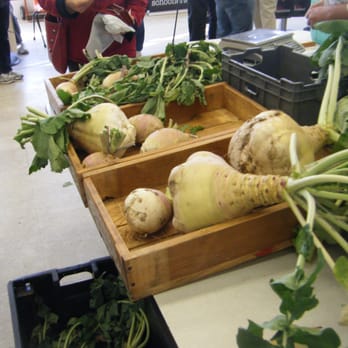 Eastham Turnip Festival - Festivals Near Me - North Eastham, Massachusetts