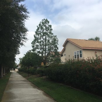 Real Tree Service - "Ahhhh, I can breathe again!" - Tree Services Near Me