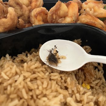Union Seafood - Unknown creature - Seafood Near Me - Albany, New York