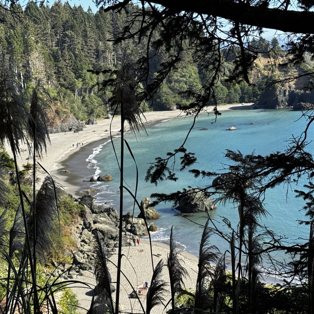Pacific Outfitters of Eureka - Elks cove - first view - Outdoor Gear Near Me - Eureka, California Pacific Outfitters of Eureka - Elks cove - first view - Outdoor Gear Near Me - Eureka, California