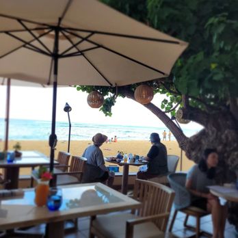 Hau Tree - Sitting under the hau trees along Kaimana Beach - Seafood Near Me - Honolulu, Hawaii Hau Tree - Sitting under the hau trees along Kaimana Beach - Seafood Near Me - Honolulu, Hawaii