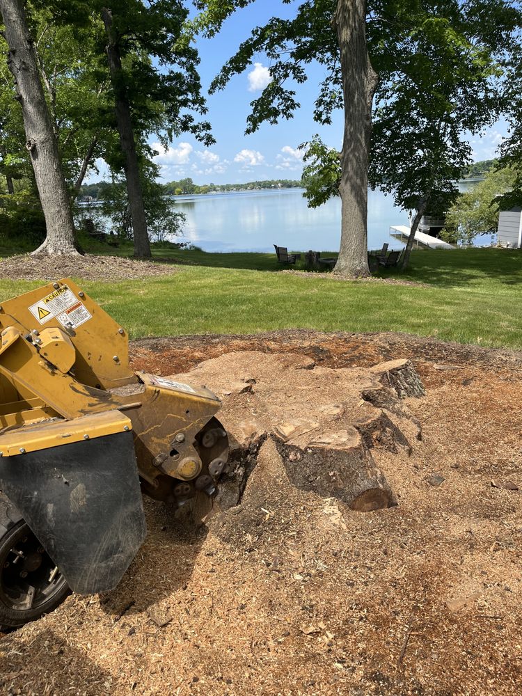 Gardner Stump Removal - tree service in Auburn Hills, MI