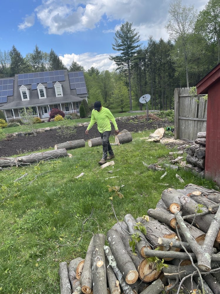 MIKE’S TREE SERVICE & LANDSCAPING 56 Brooker St, Torrington