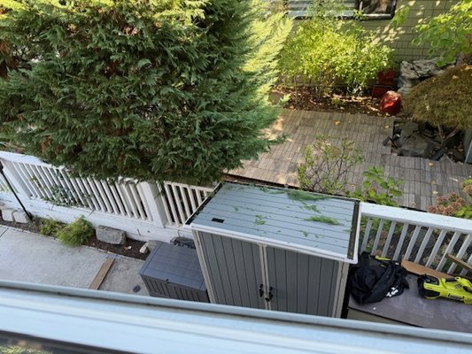 Ramalho Tree Service