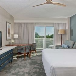 Hyatt Regency Chesapeake Bay Golf Resort, Spa and Marina - Guest Room