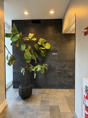 Equinox SoHo by null