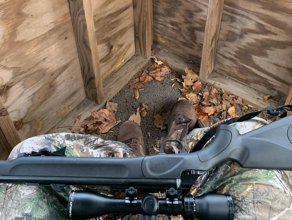 WINDSOR WOODS HUNTING RANCH Updated April 2024 17 Photos 655 Dog