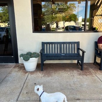 First Watch - Dog friendly! Breakfast spot - Breakfast & Brunch Near Me - Fort Worth, Texas