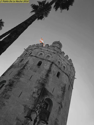 Torre del Oro by null