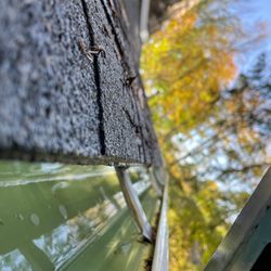 Quality Surface, Pressure & Soft Washing