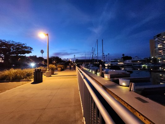 Killer Shrimp by null