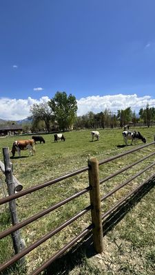 Wheeler Historic Farm by null